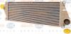 BEHR 8ML376720-391 (8ML376720391) Intercooler, charger