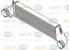 BEHR 8ML376777-241 (8ML376777241) Intercooler, charger