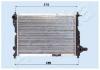 ASHIKA RDA313024 Radiator, engine cooling