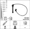 NGK RC-HE73 (RCHE73) Ignition Cable Kit