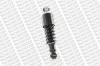 MONROE CB0110 Shock Absorber, cab suspension