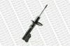 MONROE R7213 Shock Absorber