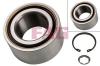 FAG 713644350 Wheel Bearing Kit