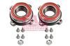 FAG 713802710 Wheel Bearing Kit