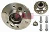 FAG 713668110 Wheel Bearing Kit