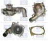 Saleri SIL PA736P Water Pump