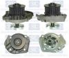 Saleri SIL PA1370 Water Pump