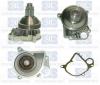 Saleri SIL PA1071 Water Pump