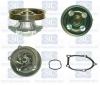 Saleri SIL PA1353 Water Pump