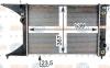 BEHR 8MK376718-651 (8MK376718651) Radiator, engine cooling
