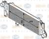 BEHR 8ML376724-291 (8ML376724291) Intercooler, charger