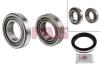 FAG 713613160 Wheel Bearing Kit