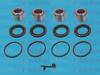 AUTOFREN SEINSA D42007C Repair Kit, brake caliper