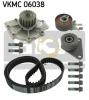 SKF VKMC06038 Water Pump & Timing Belt Kit