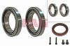 FAG 713691090 Wheel Bearing Kit