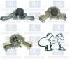 Saleri SIL PA807 Water Pump