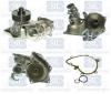 Saleri SIL PA1228 Water Pump