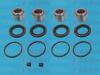AUTOFREN SEINSA D42006C Repair Kit, brake caliper