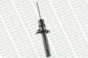 MONROE E4322 Shock Absorber