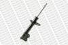 MONROE G16252 Shock Absorber