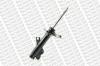 MONROE G16613 Shock Absorber