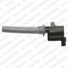 DELPHI GN10226 Ignition Coil
