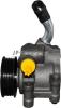 JP GROUP 1545101100 Hydraulic Pump, steering system