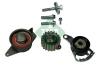 INA 530010409 Pulley Kit, timing belt