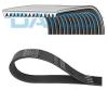 DAYCO 14PK1306HD V-Ribbed Belts