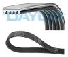 DAYCO 5PK1010 V-Ribbed Belts