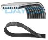 DAYCO 8PK2120HD V-Ribbed Belts