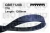 QUINTON HAZELL QBR71288 V-Ribbed Belts