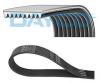 DAYCO 9PK1890HD V-Ribbed Belts