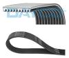 DAYCO 10PK1690HD V-Ribbed Belts