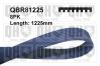 QUINTON HAZELL QBR81225 V-Ribbed Belts