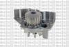 METELLI 24-0911 (240911) Water Pump