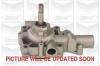 GRAF PA161 Water Pump