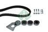 INA 530025910 Timing Belt Kit