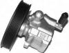 GENERAL RICAMBI PI0104 Hydraulic Pump, steering system