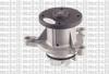 METELLI 24-1125 (241125) Water Pump