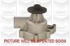 GRAF PA380 Water Pump