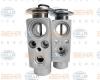 BEHR 8UW351239-381 (8UW351239381) Expansion Valve, air conditioning