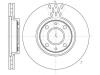 REMSA 6443.10 (644310) Brake Disc