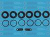 AUTOFREN SEINSA D41724 Repair Kit, brake caliper