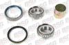 BSG BSG60-600-006 (BSG60600006) Wheel Bearing Kit