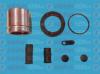 AUTOFREN SEINSA D41663C Repair Kit, brake caliper