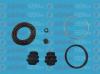 AUTOFREN SEINSA D41690 Repair Kit, brake caliper