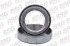 BSG BSG30-605-013 (BSG30605013) Wheel Bearing