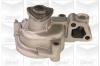 GRAF PA278 Water Pump