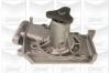 GRAF PA437A Water Pump